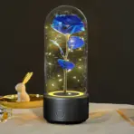 Creative 2 In 1 Rose Flowers LED Light And Bluetooth-compatible Speaker Valentine's Day Gift Rose Luminous Night Light Ornament In Glass Cover - Image 9